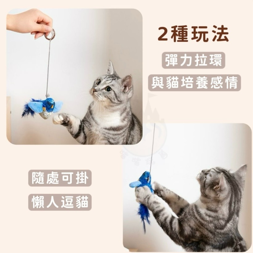 【喵玩國】叫叫鳥 仿真小鳥玩具 發聲貓玩具 貓咪互動玩具 仿真小鳥玩具 逗貓 發聲玩具 懶人逗貓神器 貓咪玩具 貓互動-細節圖4
