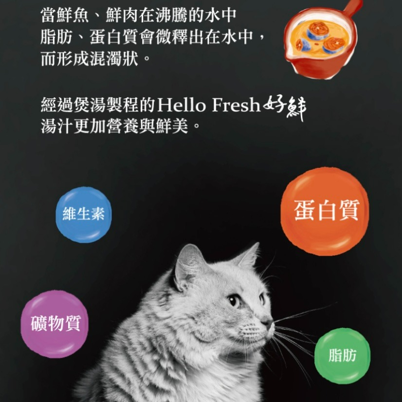 【喵玩國】SEEDS 惜時 好鮮 Hello Fresh 貓罐頭 80g 湯罐 肉塊 天然罐 原汁湯罐 副食罐-細節圖3