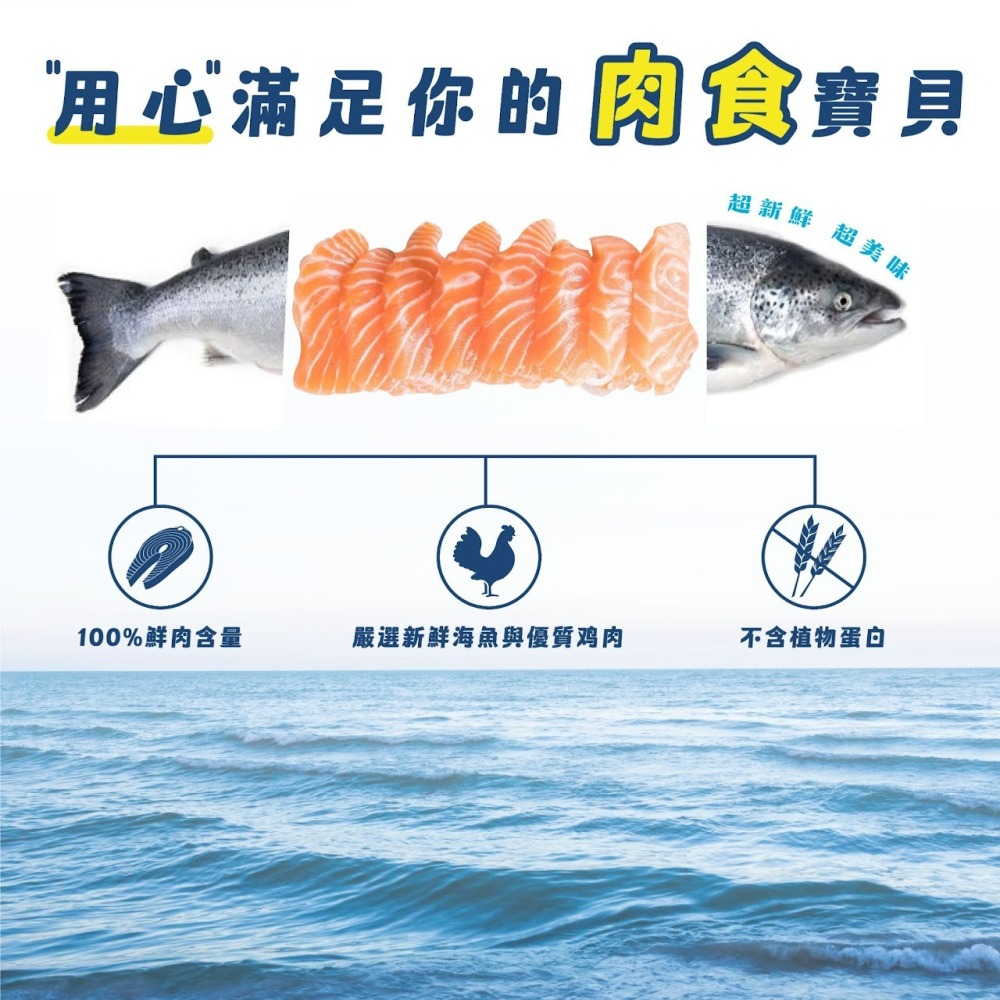 【喵玩國】紐崔斯 Nutrience 156g 全方位營養主食貓罐 貓咪罐頭 貓罐 無穀 貓咪主食罐 貓主食 貓濕食-細節圖2