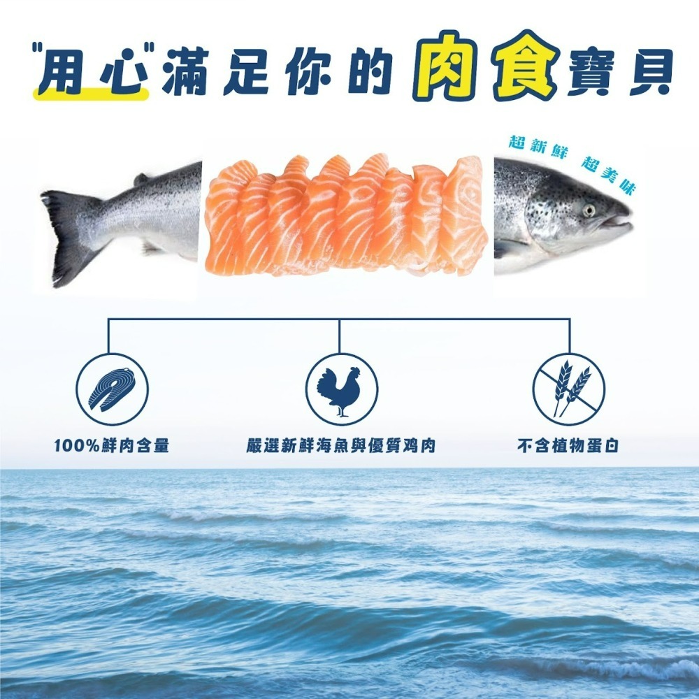 【喵玩國】紐崔斯 Nutrience 156g 全方位營養主食貓罐 貓咪罐頭 貓罐 無穀 貓咪主食罐 貓主食 貓濕食-細節圖2