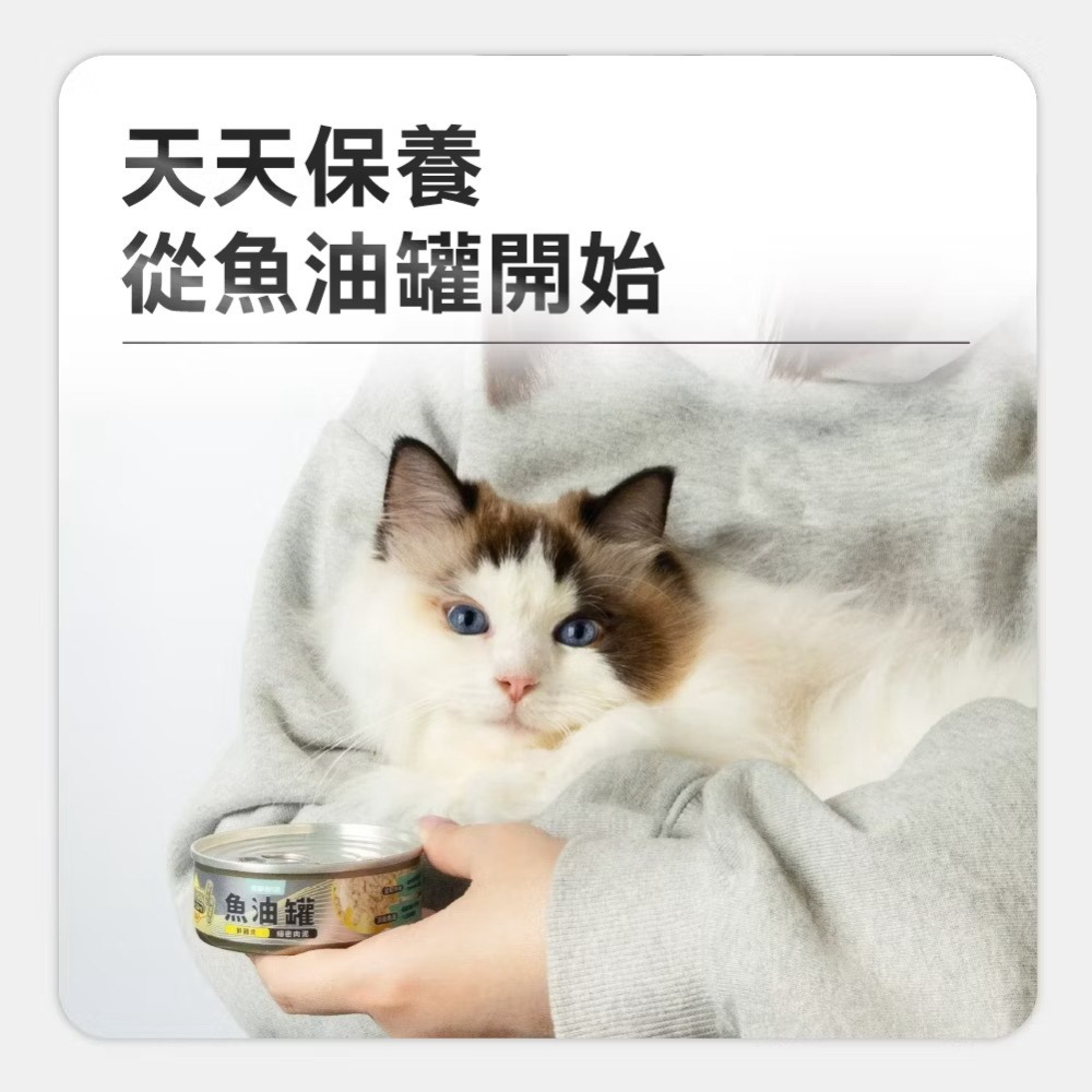 【喵玩國】怪獸部落LitoMon 德國頂級魚油主食罐 82g 單罐 魚油罐 貓罐頭 貓主食罐 貓魚油-細節圖2
