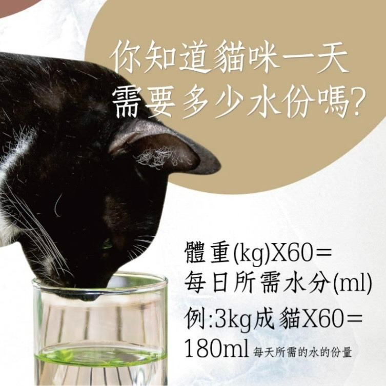 【喵玩國】Seeds 惜時 Health iN 機能湯澆汁貓餐罐 80g 聖萊西 貓罐頭 貓食 貓罐 副食罐 貓湯罐-細節圖3