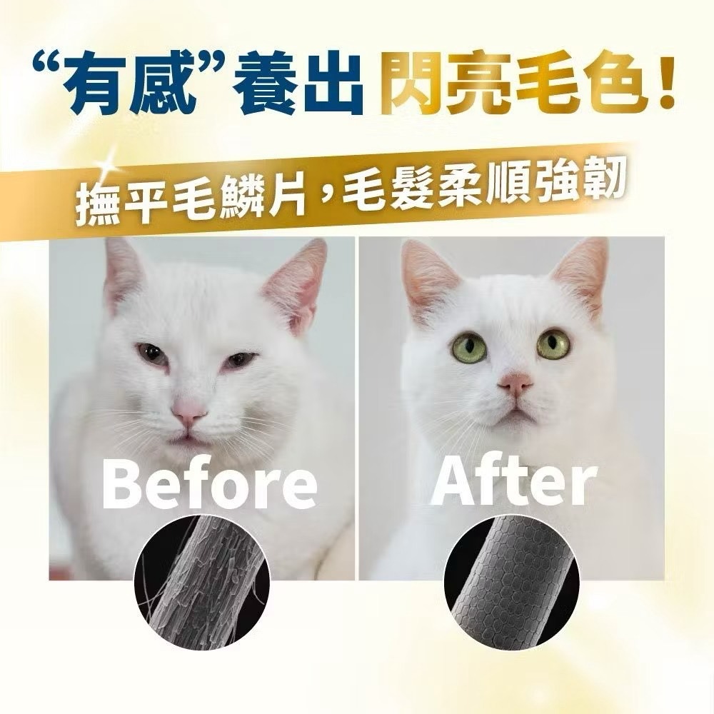 【喵玩國】磷蝦魚油 速餵壓瓶 爆毛神器 HEROMAMA 犬貓適用 磷蝦油 魚油 Omega-3 蝦紅素 亮毛 護膚-細節圖6