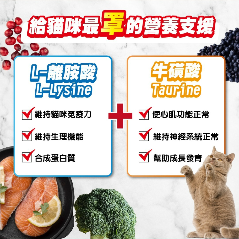 【喵玩國】Earthborn 原野優越 貓飼料 無穀貓飼料 天然貓飼料 貓糧-細節圖4