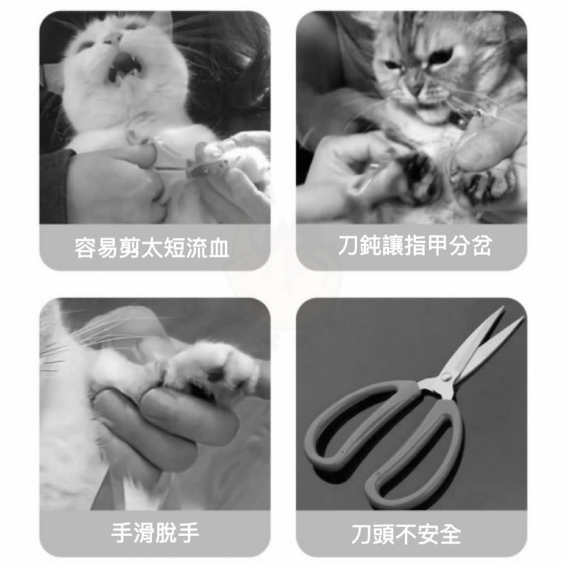 【喵玩國】寵物雙孔指甲剪 貓咪指甲剪 圓孔小盲剪 寵物指甲刀 貓爪子剪刀 防剪血線 寵物磨甲 寵物安全剪-細節圖2
