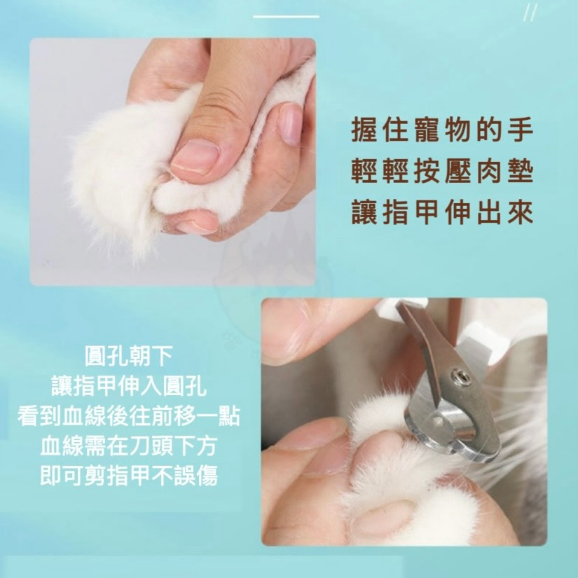 【喵玩國】寵物雙孔指甲剪 貓咪指甲剪 圓孔小盲剪 寵物指甲刀 貓爪子剪刀 防剪血線 寵物磨甲 寵物安全剪-細節圖4