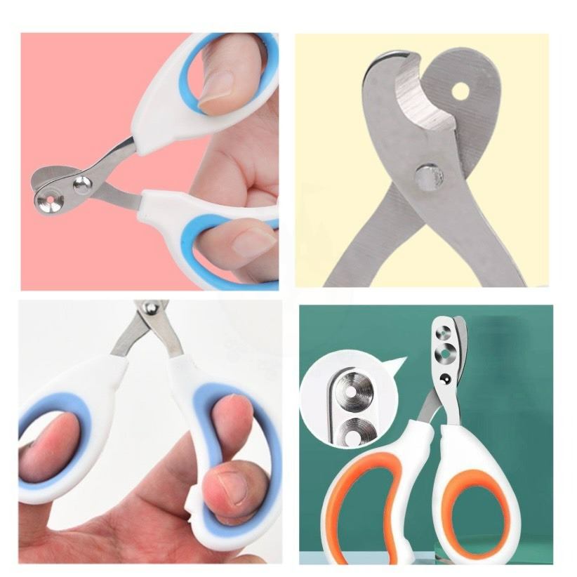 【喵玩國】寵物雙孔指甲剪 貓咪指甲剪 圓孔小盲剪 寵物指甲刀 貓爪子剪刀 防剪血線 寵物磨甲 寵物安全剪-細節圖6