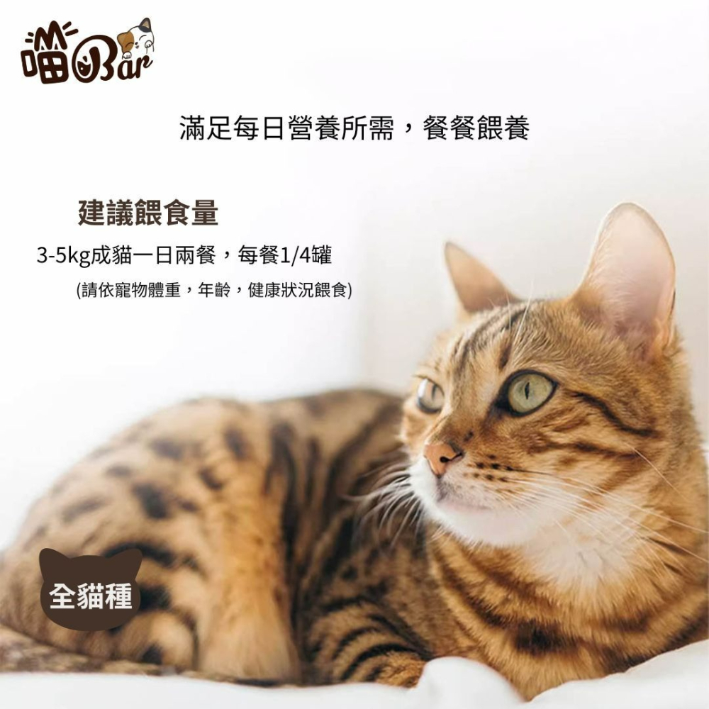 【喵玩國】喵Bar 營養貓罐 170g 紅肉罐 貓罐 浪貓罐 副食罐 紅肉鮪魚系列-細節圖5