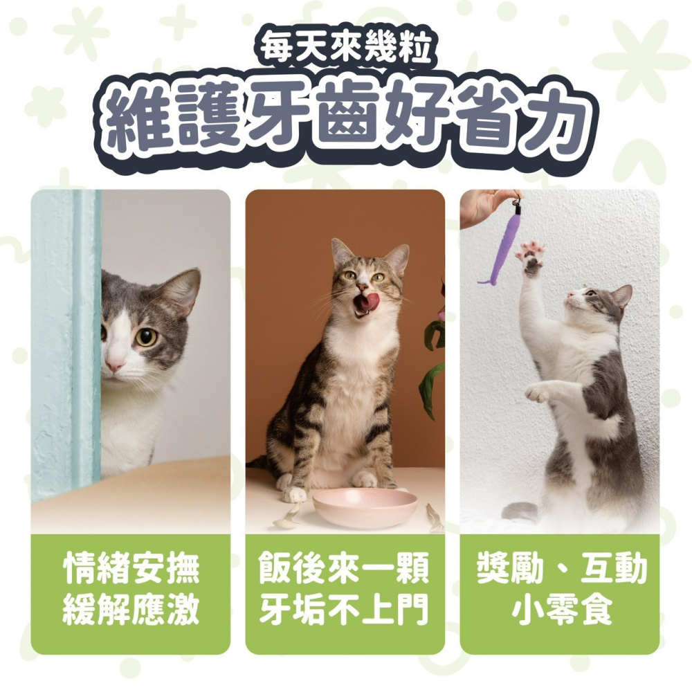 【喵玩國】vosto 啵脆化毛潔牙餅 60g 貓零食 潔牙餅 貓潔牙餅 化毛餅 貓咪零食 貓餅乾-細節圖4