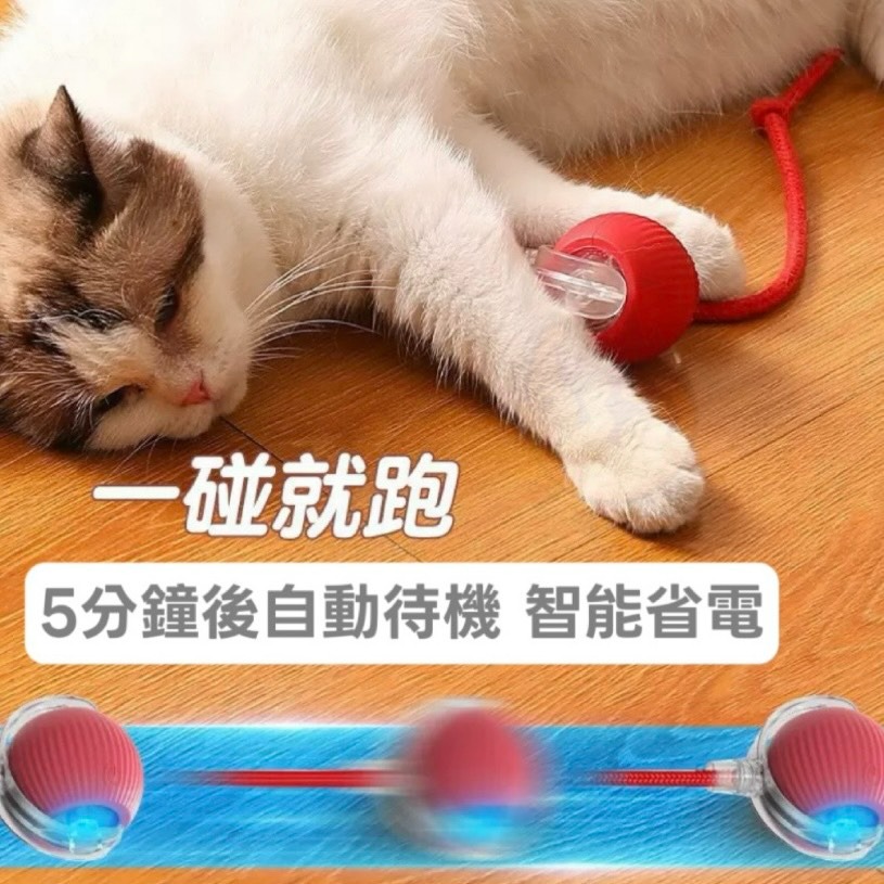 【喵玩國】智能逗貓球 貓咪玩具球 自動逗貓球 貓咪玩具 逗貓球 逗貓 逗貓玩具 自動逗貓 貓的玩具 貓咪玩具電動-細節圖2