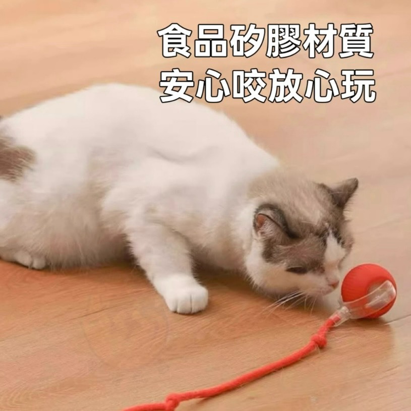 【喵玩國】智能逗貓球 貓咪玩具球 自動逗貓球 貓咪玩具 逗貓球 逗貓 逗貓玩具 自動逗貓 貓的玩具 貓咪玩具電動-細節圖4
