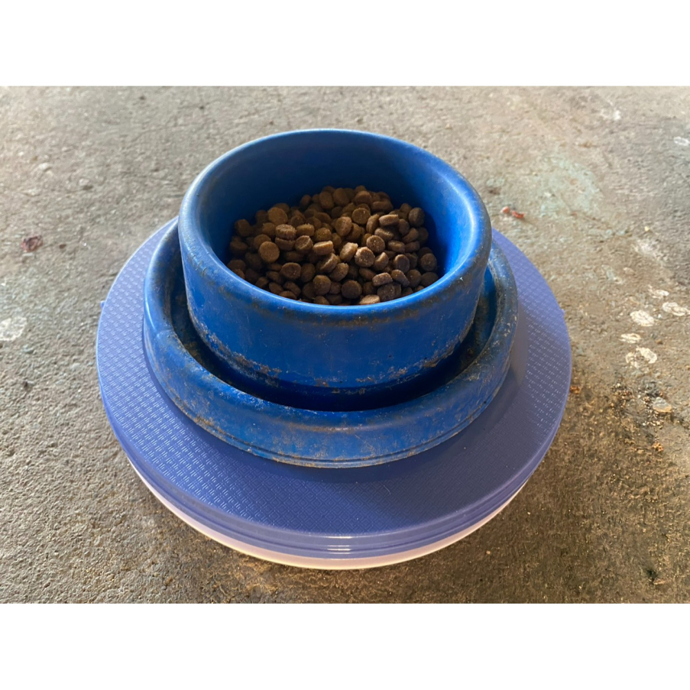 【喵玩國】防蟻墊 防蟻魔墊 寵物防蟻 零食防蟻 自動防蟻 螞蟻 臺灣製 防螞蟻 防蟻盤 飼料防蟻 罐頭防蟻-細節圖5