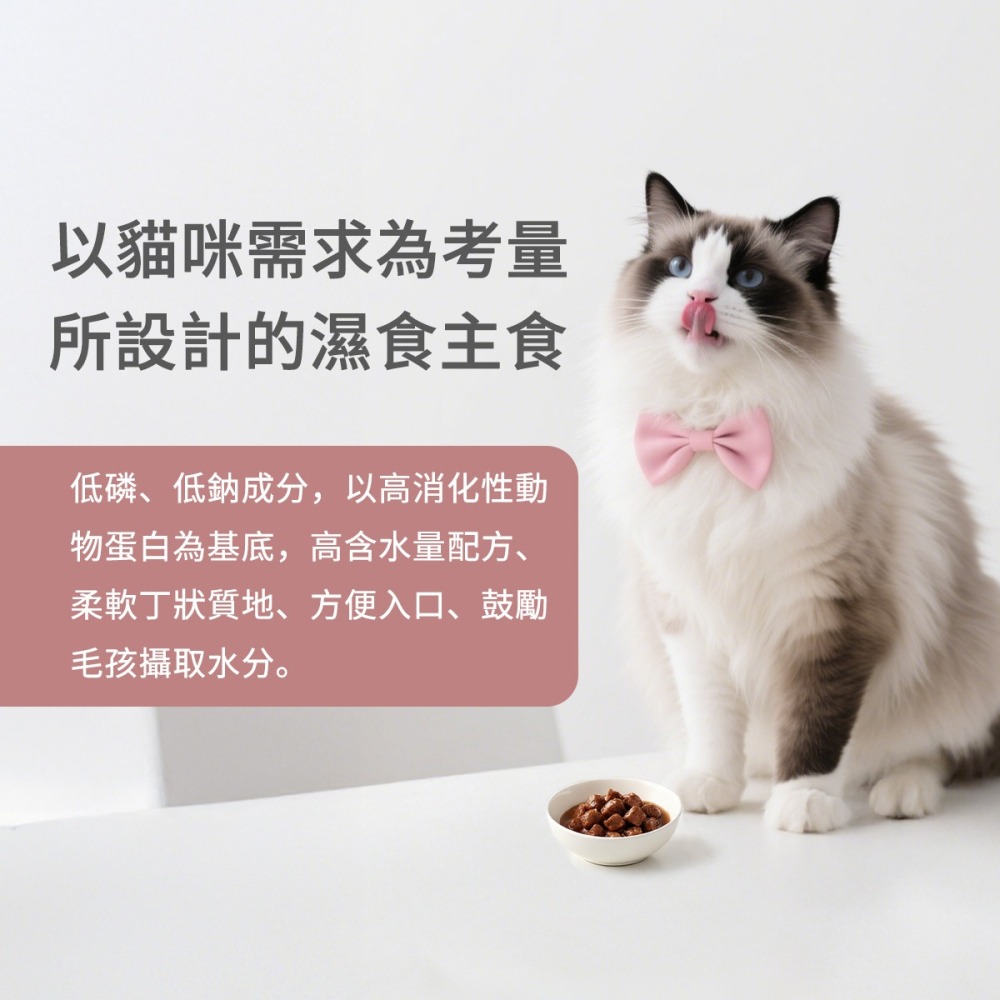 【喵玩國】康特維 德國品牌貓咪處方食品 腎臟 泌尿 腸胃 糖尿病 低敏 營養肉汁 保健處方罐頭 主食罐 餐包-細節圖4
