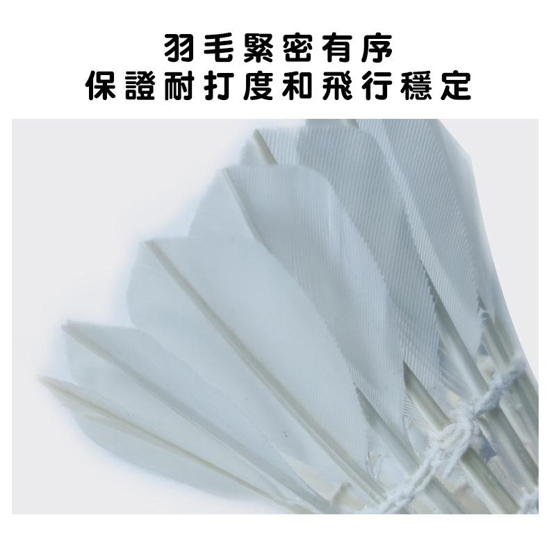 『台灣24H出貨』羽毛球 羽球 訓練用球 耐打不易爛 鴨毛球 穩定 耐打 練習羽球 訓練羽球 比賽羽球 膠羽球 飛行穩定-細節圖5