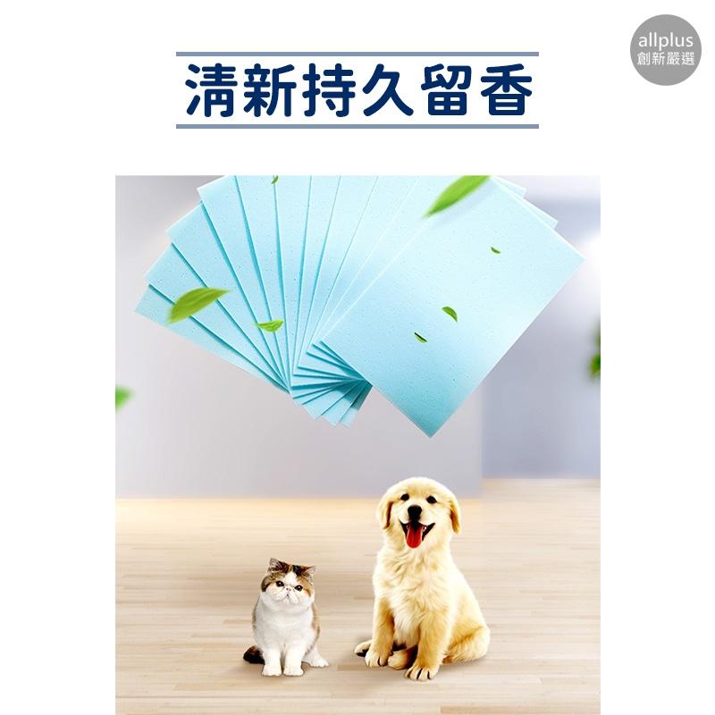 『台灣24H出貨』多效合一地板清潔片 地板除垢清潔片 強力去汙清潔片 磁磚木地板清潔 去霉防潮 家用清潔片 地板清潔片-細節圖4