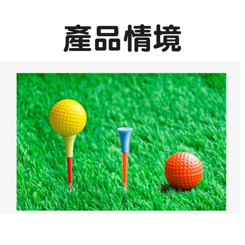 『台灣24H出貨』高爾夫塑膠球釘 球地釘 高爾夫球釘 球釘 高爾夫運動 球類運動 塑膠地釘 塑膠球釘 戶外運動用品 運動-細節圖3