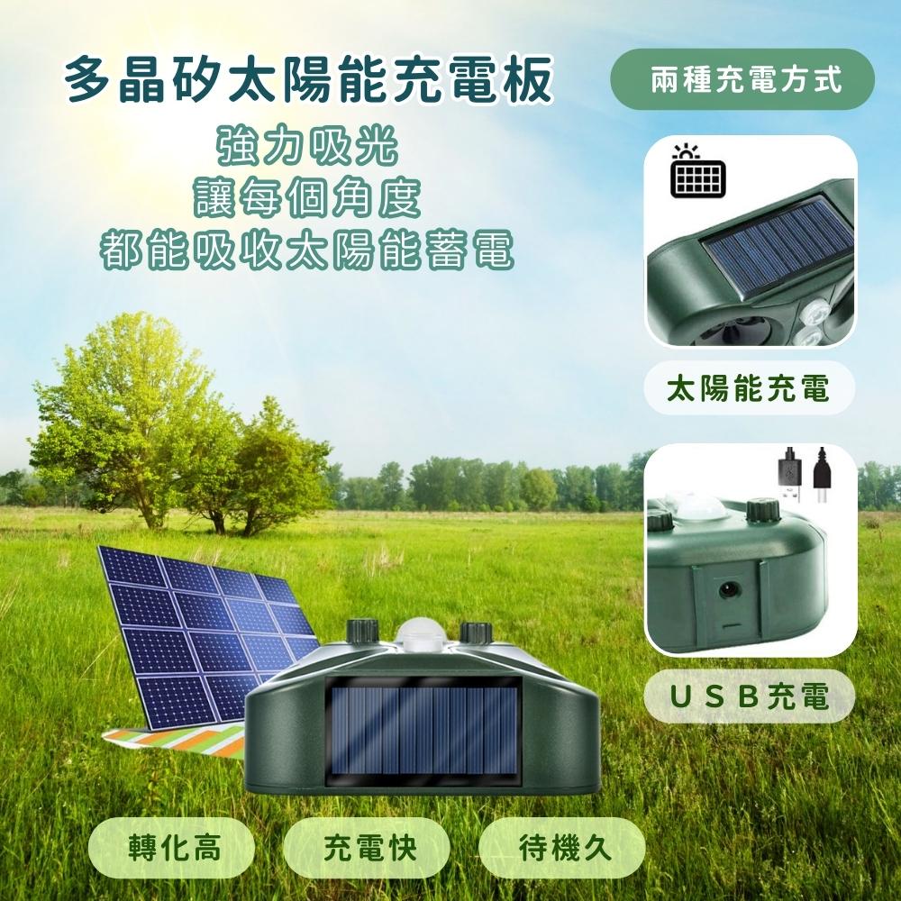 『台灣24H出貨』太陽能超聲波動物驅趕器 驅鼠器 驅狗器 驅蛇 驅貓 驅鳥 驅蛇器 戶外超聲波驅鼠器 超聲波驅狗器 驅貓-細節圖4