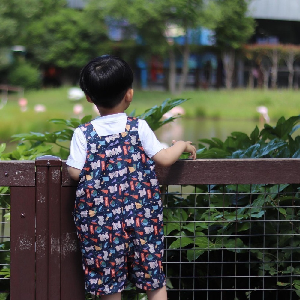 🌸現貨🌸韓國布 純棉布 迪士尼版權布 米妮 黛西 獅子王 101忠狗 小飛象 唐老鴨 辛巴 韓國正版授權 進口布料-細節圖5