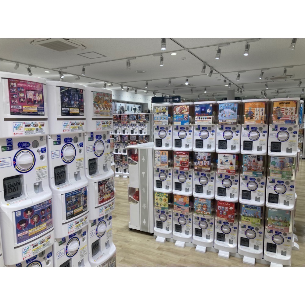 日本自購帶回 萬代Bandai 生物大圖鑑 石龍子 西非肥尾守宮 豹紋守宮 蜥蜴扭蛋 （3號 青花蜥蜴-黑色素）-細節圖4