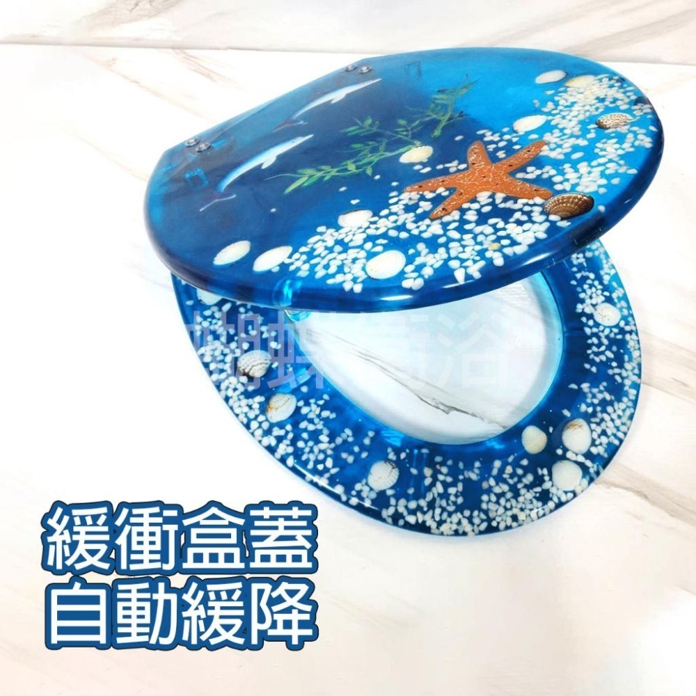 蝴蝶衛浴~二款式馬桶蓋.海洋之心.珊瑚海星.馬桶蓋.自動緩降功能-細節圖2