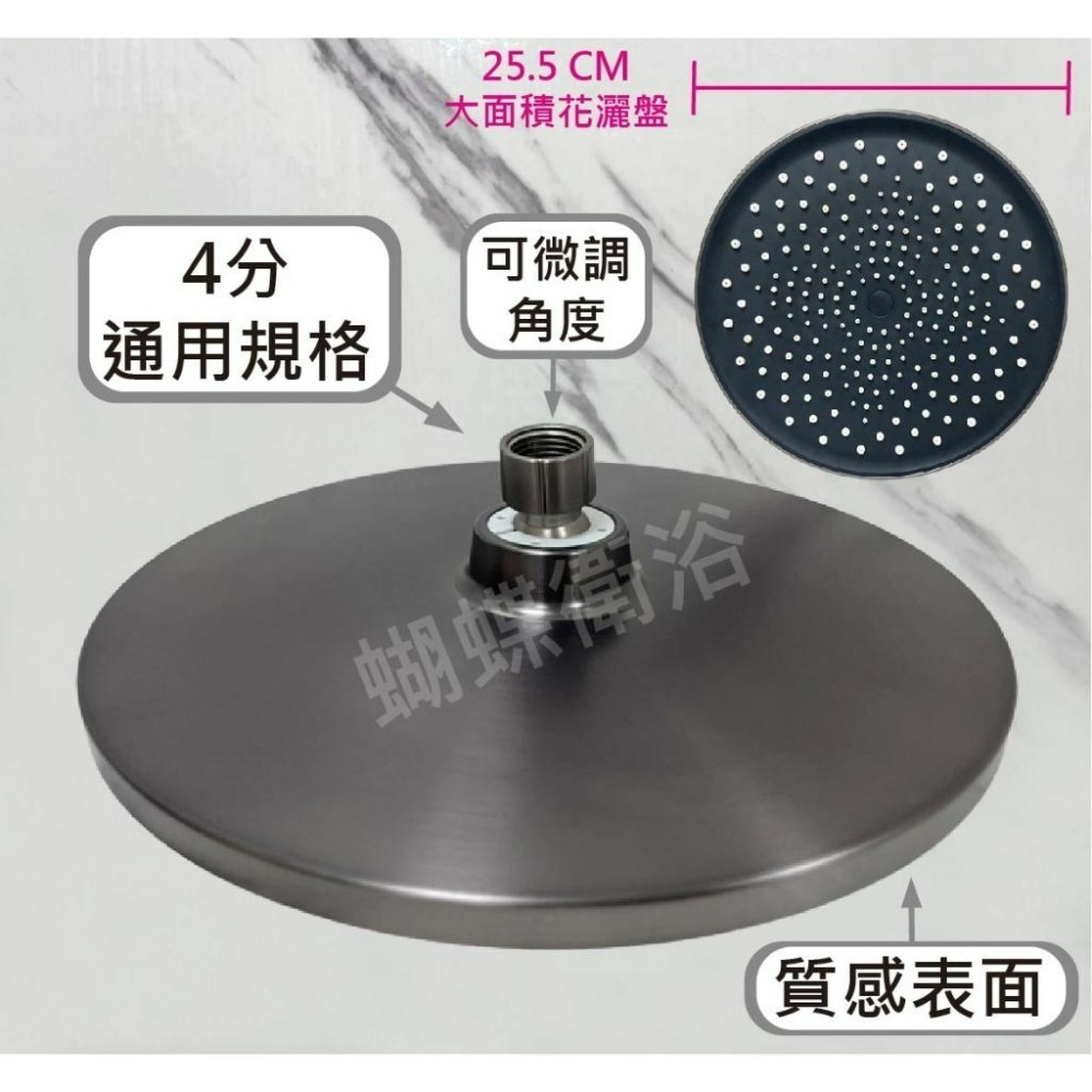 蝴蝶衛浴~【灰黑特殊色 多功能花灑組】花灑.花灑淋浴組.浴室花灑.淋浴花灑龍頭組.頂噴花灑.四種出水模式花灑.水龍頭-細節圖4