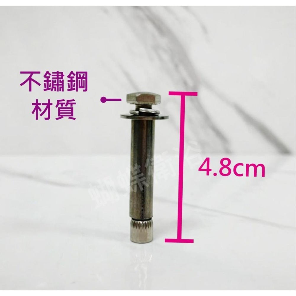 蝴蝶衛浴~台製.不鏽鋼.扶手壁虎螺絲2分.螺絲.ST壁虎螺絲-細節圖2