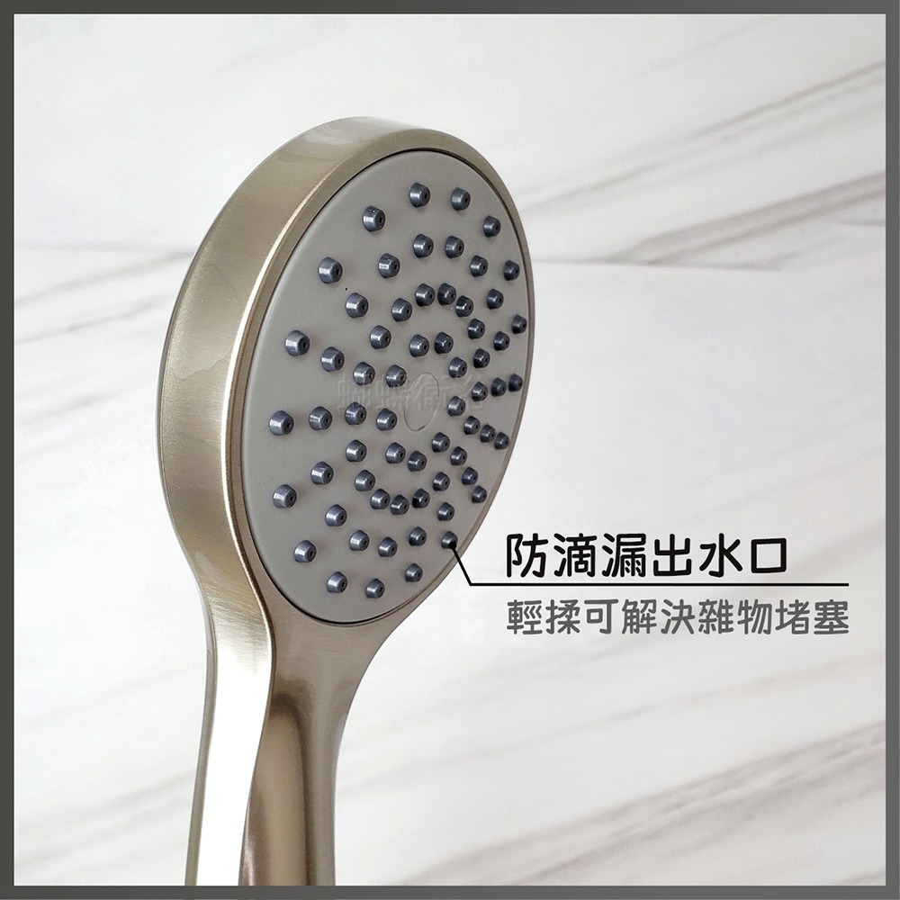 蝴蝶衛浴~【單段蓮蓬頭】拉絲質感.大流量出水-細節圖5