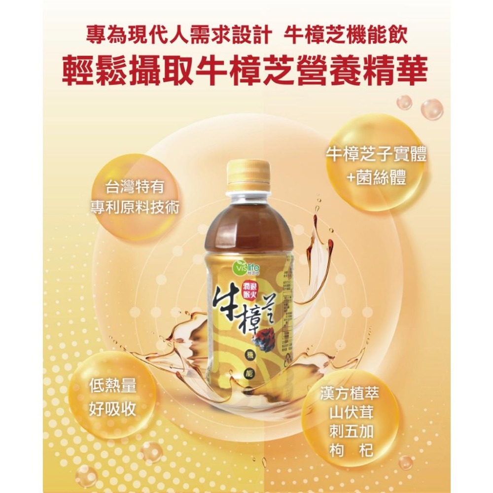 官方直營【特活綠】牛樟芝機能飲350ml 牛樟芝精華飲 調整體質 台灣紅寶石 日常保健飲品 刺五加 山伏茸 退火飲料-細節圖4