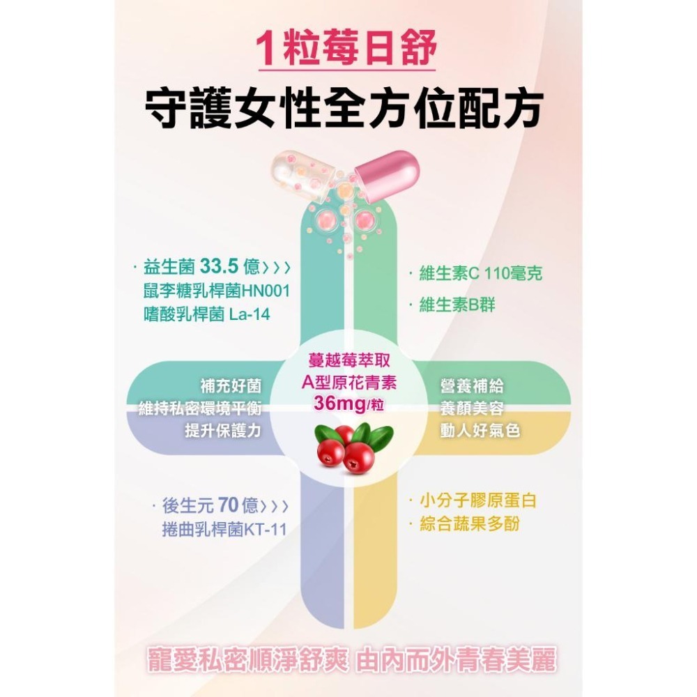 【特活綠】莓日舒私密蔓越莓益生菌 -  美歐法西4國專利 維護女性私密處健康 專利蔓越莓 專科益生菌 私密保養-細節圖5