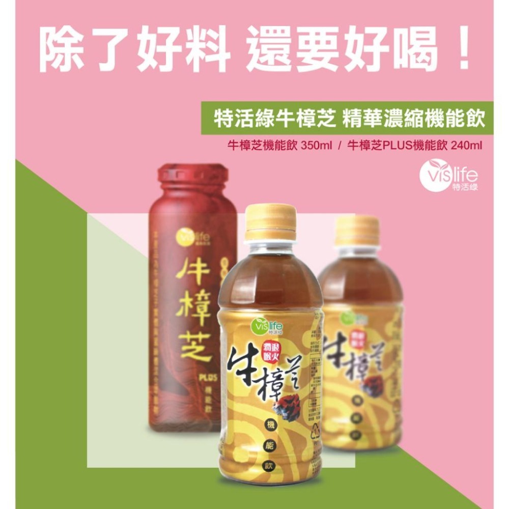 官方直營【特活綠】牛樟芝機能飲350ml （一箱/24罐） 退火飲料 台灣紅寶石 順口好喝 日常保健飲品 刺五加 山伏茸-細節圖2