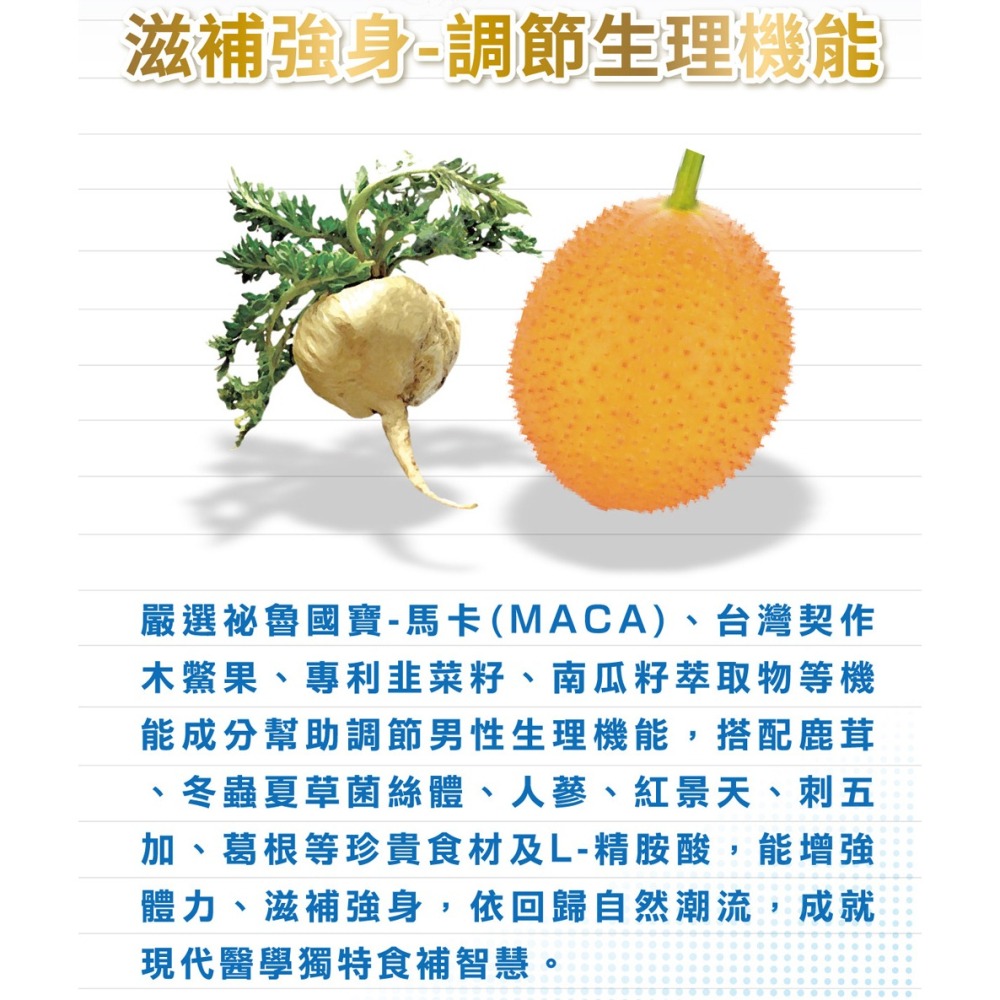 馬卡激活膠囊 (男性保健/增強體力/加強耐力/自信提升/木鱉果)-細節圖4