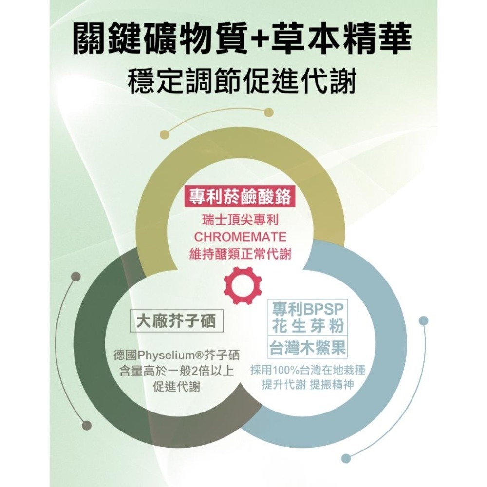 特活綠 山苦瓜肉桂EX膠囊 🈶添加鉻、鋅 幫助醣類正常代謝 穩定平衡🌱苦瓜胜肽  60粒X1盒-細節圖7
