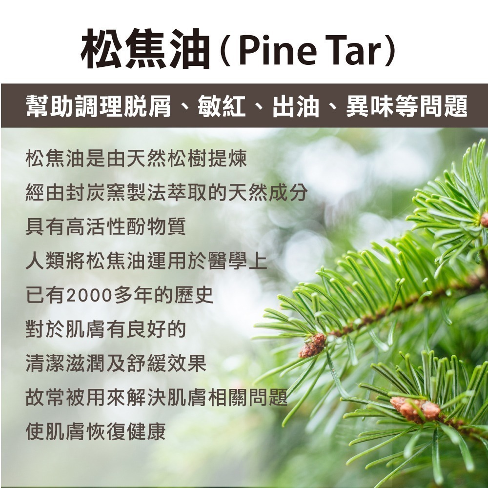 🍁官方直營【特活綠】專科舒敏松焦油沐浴露500ML 三合一✦松焦油水楊酸木鱉果✦ 🍂天然木質香、舒緩淨膚、平衡油脂-細節圖5
