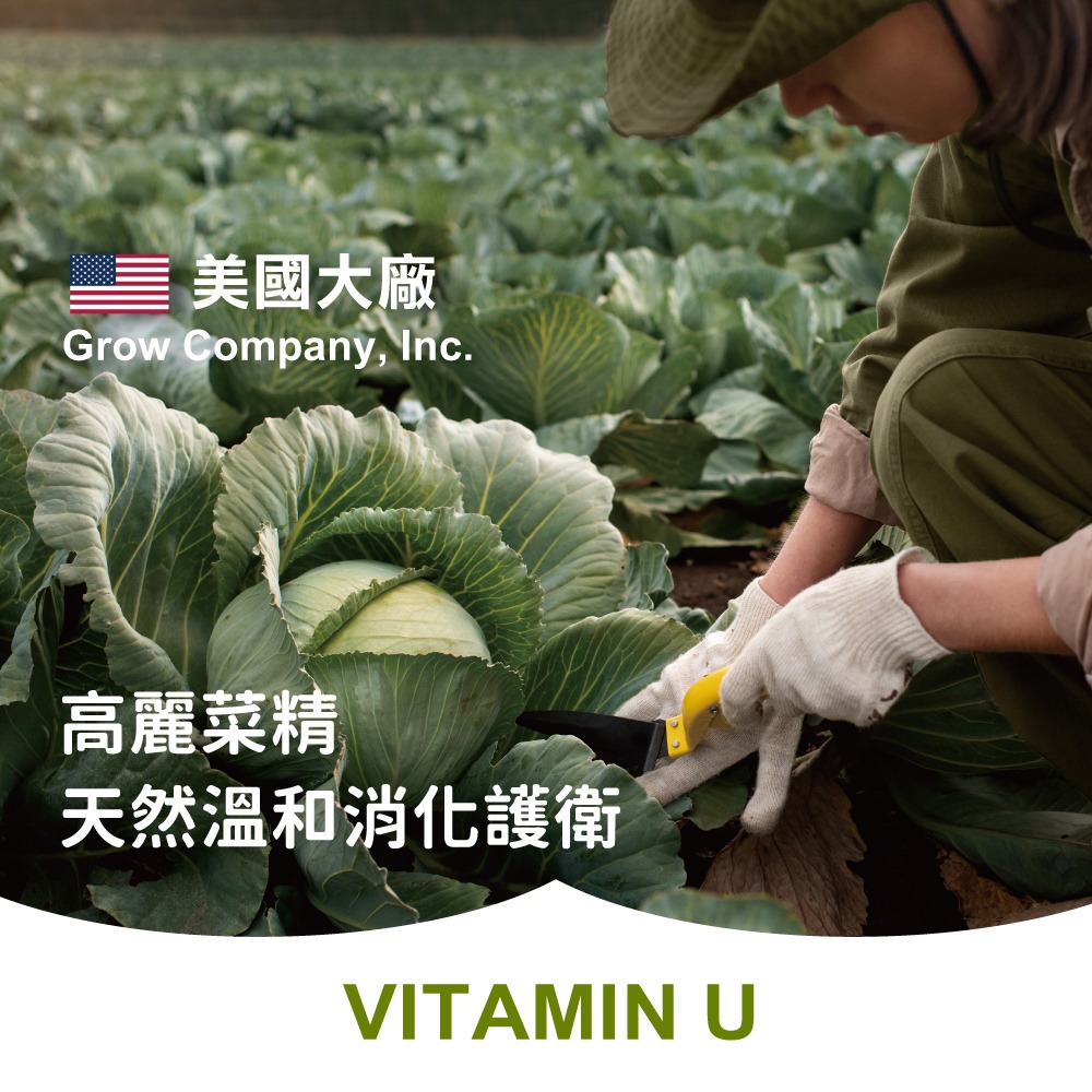 👌博士級消化護衛【特活綠】高麗菜精U(60粒)(原樂酸定U)✦助消化✦史丹佛博士研究✦美國大廠✦專利製程 官方直營-細節圖5