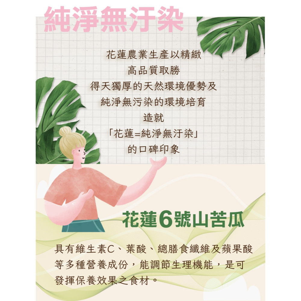 【🍵養生好茶】 花蓮6號山苦瓜茶(12入/袋) ✦回甘養生茶包 ✦日常好養生【特活綠】官方直營-細節圖2