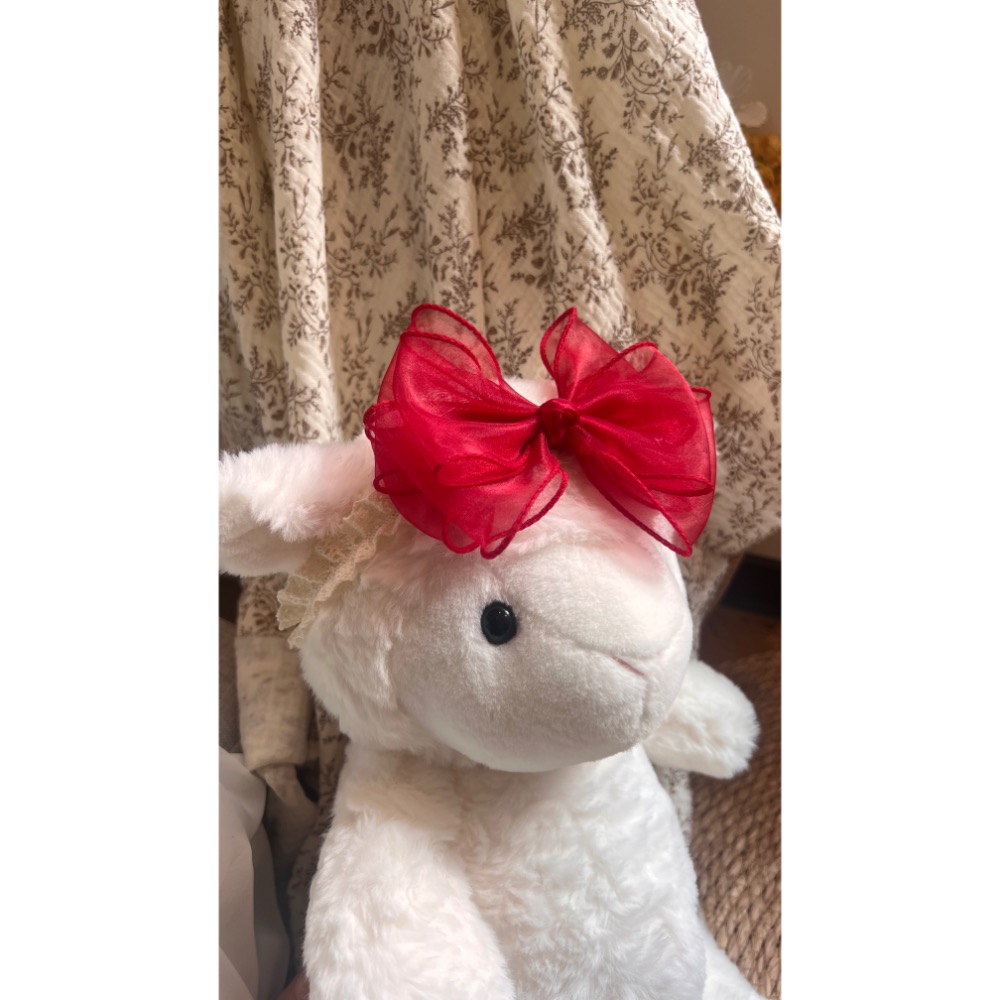 現貨｜紅莓糖霜髮帶-細節圖2