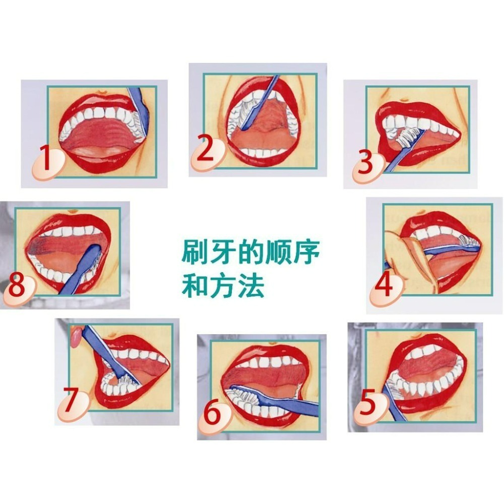 【醫康生活家】Professional S02軟毛牙刷(牙周病適用) 6支/束-細節圖2