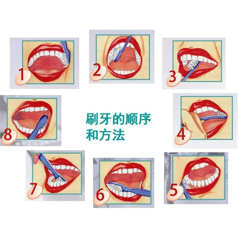 【醫康生活家】Professional S02軟毛牙刷(牙周病適用) 6支/束-細節圖2