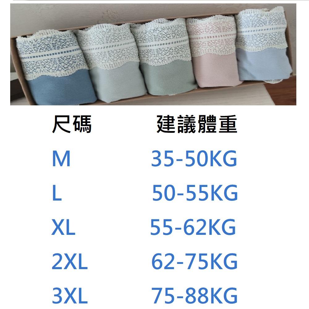 <Porabella>大尺碼現貨收腹內褲 蕾絲收腹內褲 高腰收腹 收腹提臀 無痕女內褲UNDERWEAR (M~3XL)-細節圖8