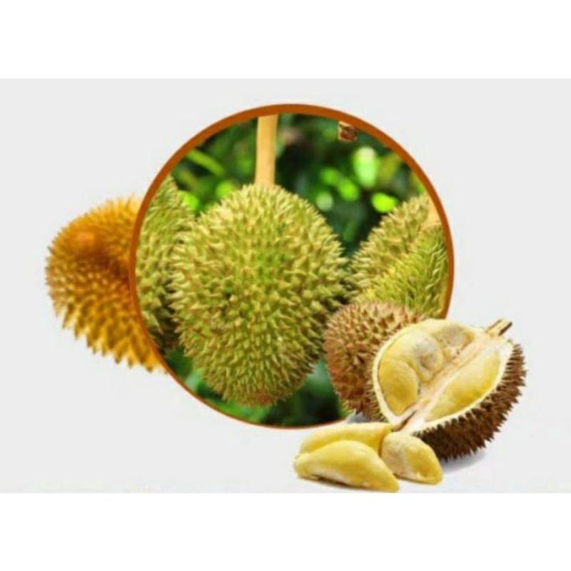泰國泰好吃金枕頭新鮮優質頂美味榴槤乾（內有8包，280g，超大滿足）-細節圖3