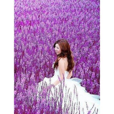 《宮廷珠寶》精選冰種透光紫羅蘭幸福洋溢玉鐲 ，古樸寶光，玉質細膩H13-細節圖2