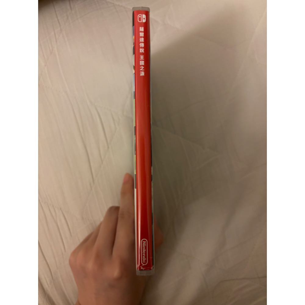 薩爾達國王之淚-細節圖2
