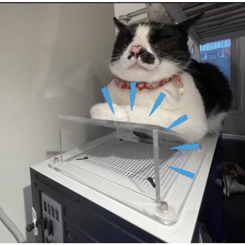🐈防貓咪手賤擋板 客製化擋板 貓咪 主機 壓克力擋板 壓克力 電腦 貓 客製化-細節圖4