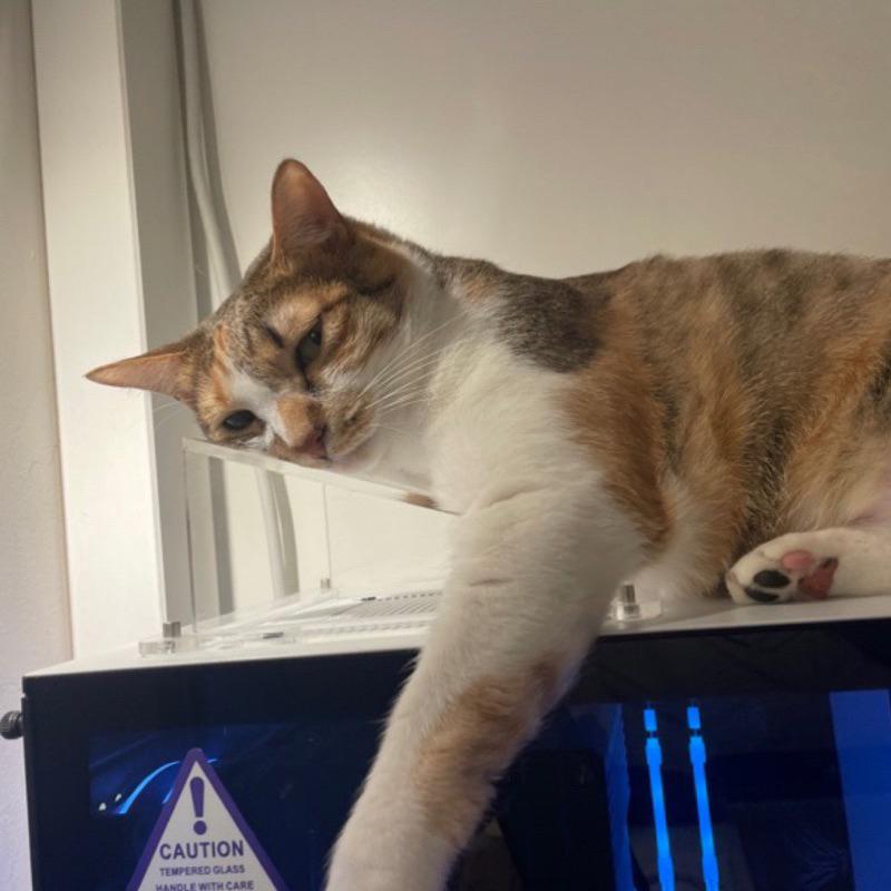 🐈防貓咪手賤擋板 客製化擋板 貓咪 主機 壓克力擋板 壓克力 電腦 貓 客製化-細節圖9