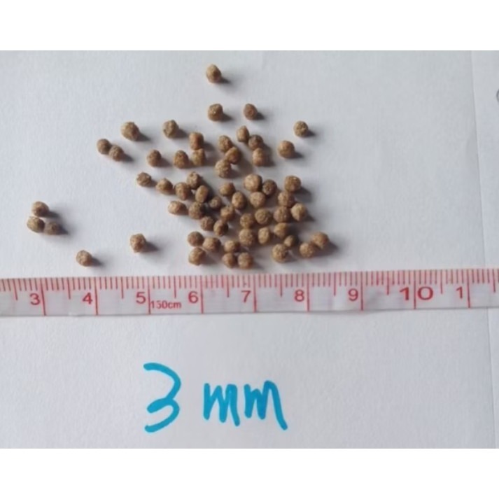 公園餵魚用魚飼料3mm大小，餵魚趣，吳郭魚飼料，錦鯉飼料，虱目魚飼料-細節圖2