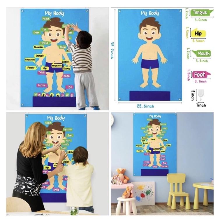 My body 毛氈掛圖   身體各部位英文練習 身體配對 身體配對卡 身體認知 器官配對 人體配對 太空配對-細節圖2