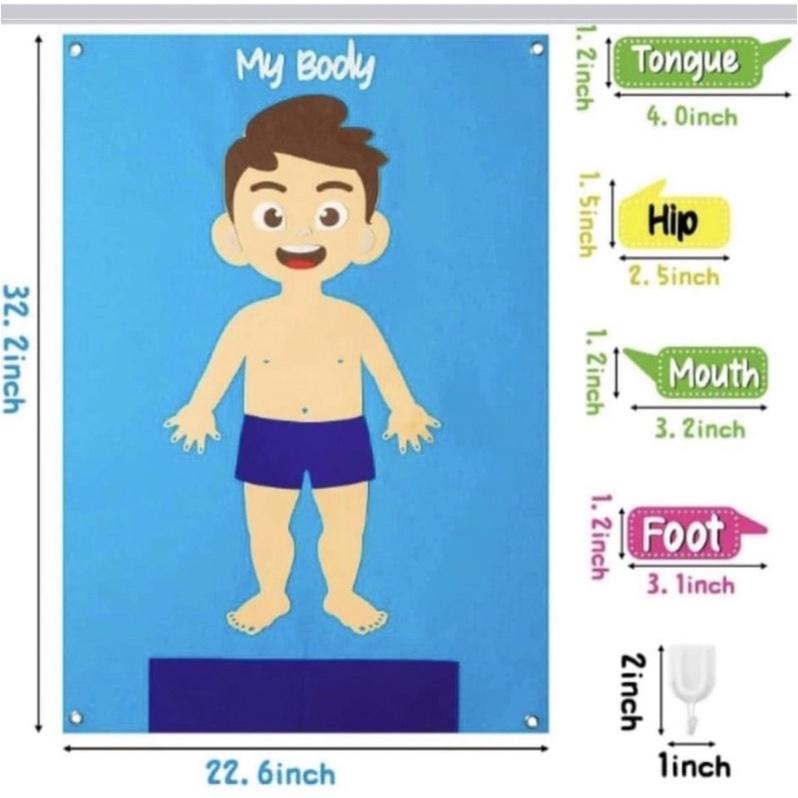 My body 毛氈掛圖   身體各部位英文練習 身體配對 身體配對卡 身體認知 器官配對 人體配對 太空配對-細節圖3