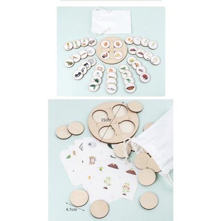 蒙式生命週期款（週期認知）動物週期 植物週期 蒙式教材 週期學習認知 週期盤-細節圖6