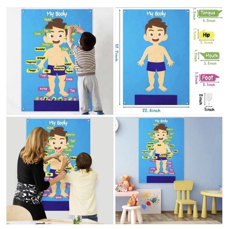 My body毛氈掛圖  身體各部位英文練習 身體配對 身體配對卡 身體認知 楓葉 樹葉 太空毛氈 外太空配對-細節圖2
