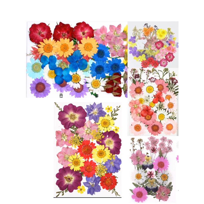 乾燥花材料包、花材料包、花標本、花教學 花素材 角落區-細節圖3
